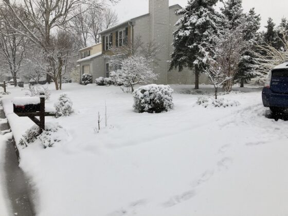featured image - How to Prevent Ice from Forming on Your Driveway or Sidewalk