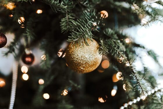 featured image - Hanging Outdoor Garlands Made Easy: A Christmas Decor Hack
