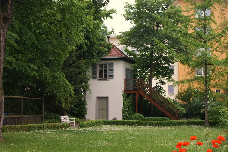 featured image - What You Need to Know About Custom Homes and Sustainability