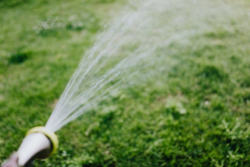 Water and Fertilize Your Lawn image - Water and Fertilize Your Lawn