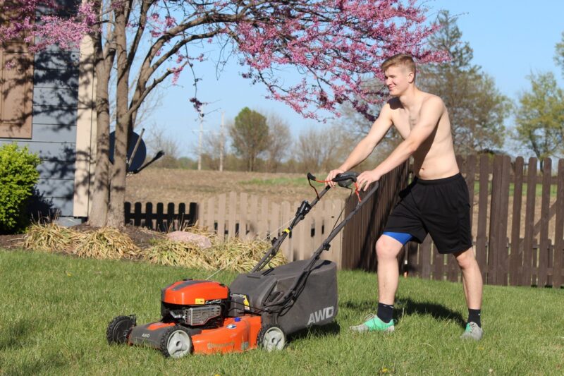 Mow Your Lawn Properly image - Mow Your Lawn Properly